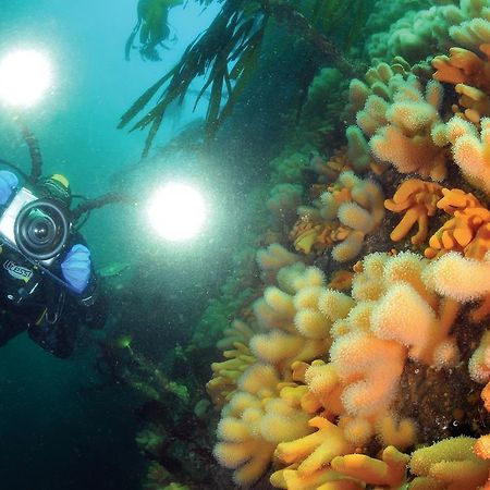 Gulen Dive Resort Dalsoyra Экстерьер фото