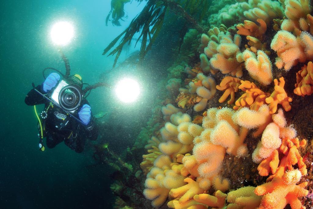 Gulen Dive Resort Dalsoyra Экстерьер фото